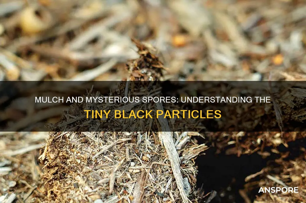 can mulch telease little black spores