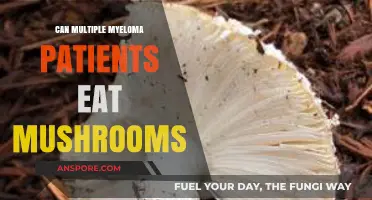 Mushrooms and Multiple Myeloma: Safe or Risky Dietary Choice?