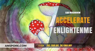 Mushrooms and Enlightenment: Unlocking Spiritual Awakening Through Nature's Gifts