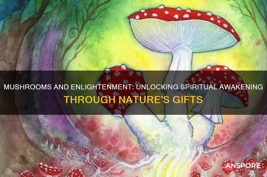 can mushroom accelerate enlightenment