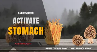 Mushrooms and Digestion: Can They Activate Your Stomach?