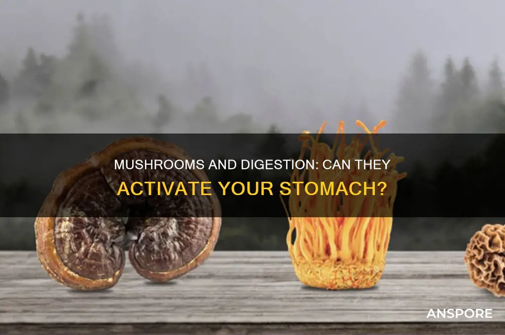 can mushroom activate stomach