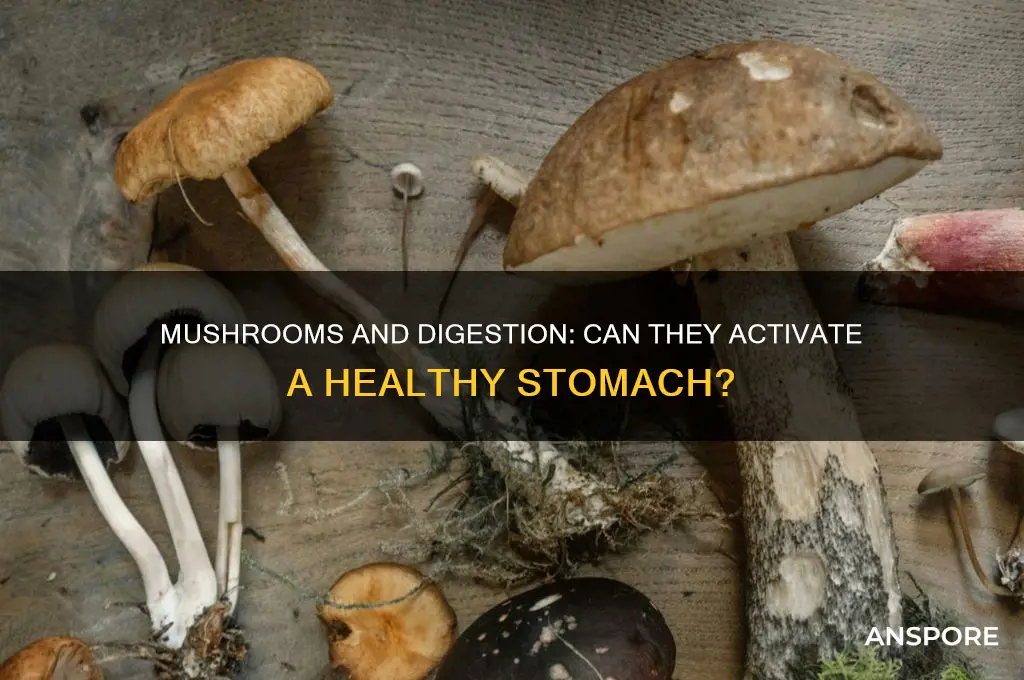 can mushroom activite stomach