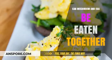 Mushroom and Egg Combo: Safe, Nutritious, and Delicious Pairing Explained