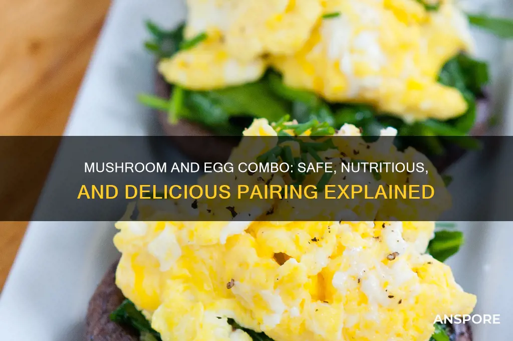 can mushroom and egg be eaten together