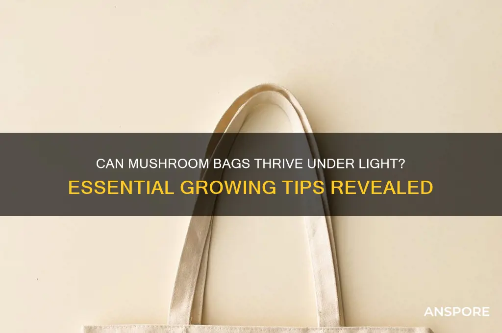 can mushroom bags be under light