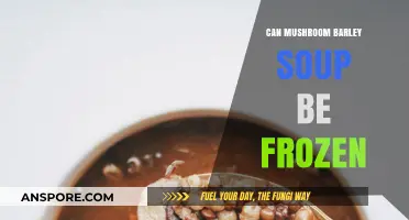 Freezing Mushroom Barley Soup: Tips for Perfect Storage and Reheating