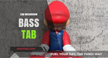 Mastering Mushroom's Bass Tab: Techniques, Tips, and Tricks for Bassists