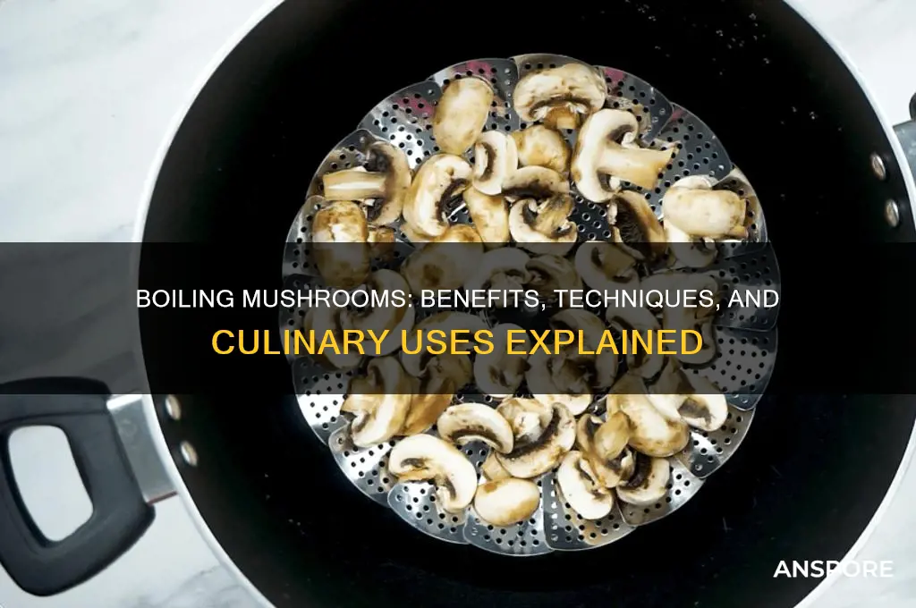 can mushroom be boiled