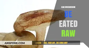 Can You Eat Mushrooms Raw? Safety Tips and Benefits Explained