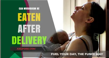 Postpartum Nutrition: Are Mushrooms Safe to Eat After Delivery?