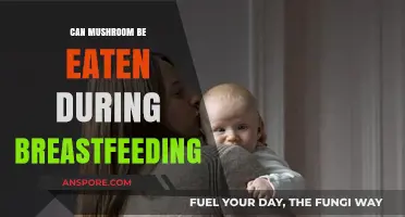 Mushrooms and Breastfeeding: Safe or Risky for Nursing Moms?