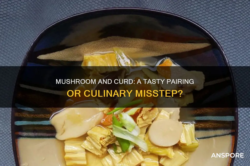 can mushroom be eaten with curd