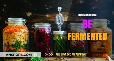 Fermenting Mushrooms: Unlocking Unique Flavors and Health Benefits