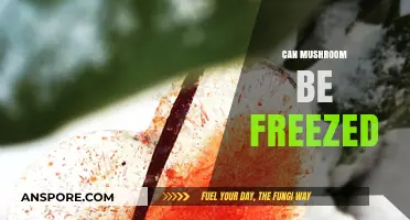 Freezing Mushrooms: A Complete Guide to Preserving Freshness and Flavor