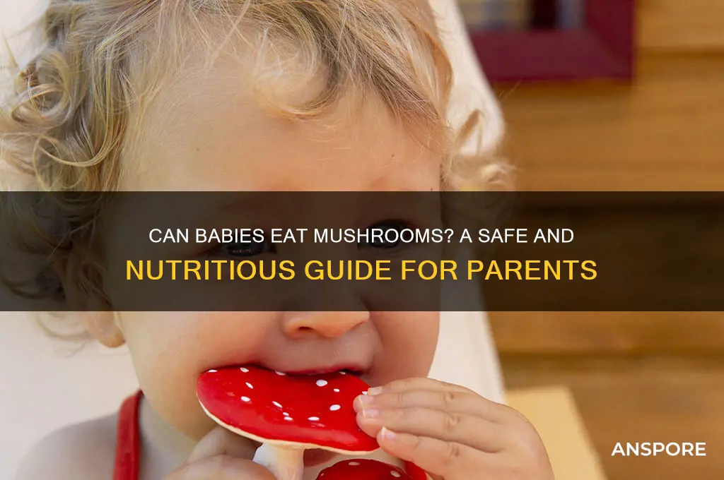 can mushroom be given to babies
