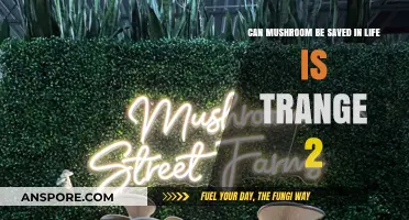 Saving Mushroom in Life is Strange 2: Possibilities and Outcomes