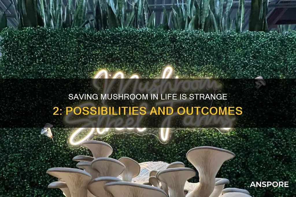 can mushroom be saved in life is trange 2