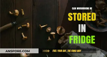 Storing Mushrooms in the Fridge: Best Practices for Freshness and Longevity