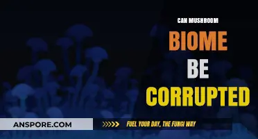 Can Mushroom Biomes Be Corrupted? Exploring Threats and Preservation Methods