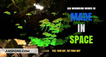 Growing Fungal Ecosystems: Can Mushroom Biomes Thrive in Space?