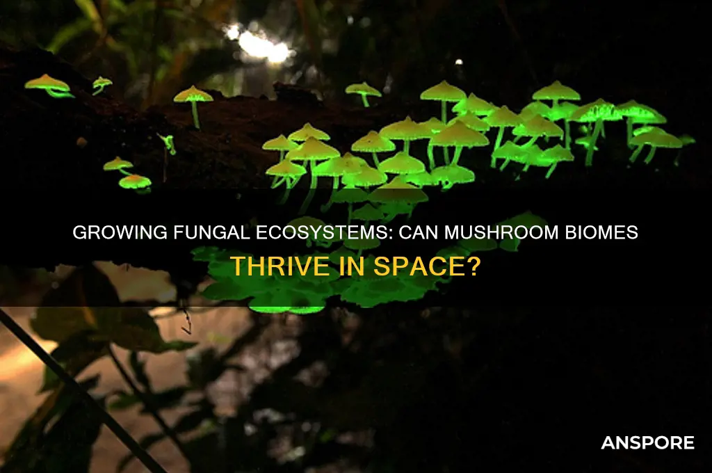 can mushroom biomes be made in space
