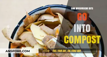 Composting Mushroom Bits: A Sustainable Way to Recycle Kitchen Scraps