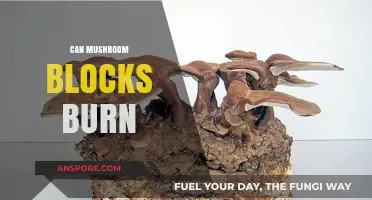Can Mushroom Blocks Burn? Exploring Combustibility in Mushroom-Based Materials