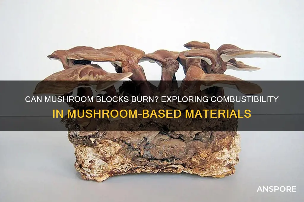 can mushroom blocks burn