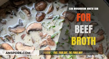 Mushroom Broth Substitute: Can It Replace Beef Broth in Recipes?