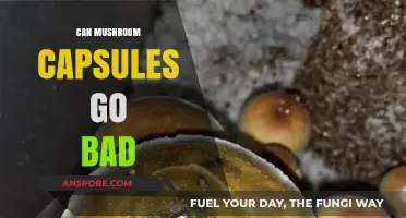 Do Mushroom Capsules Expire? Shelf Life and Storage Tips