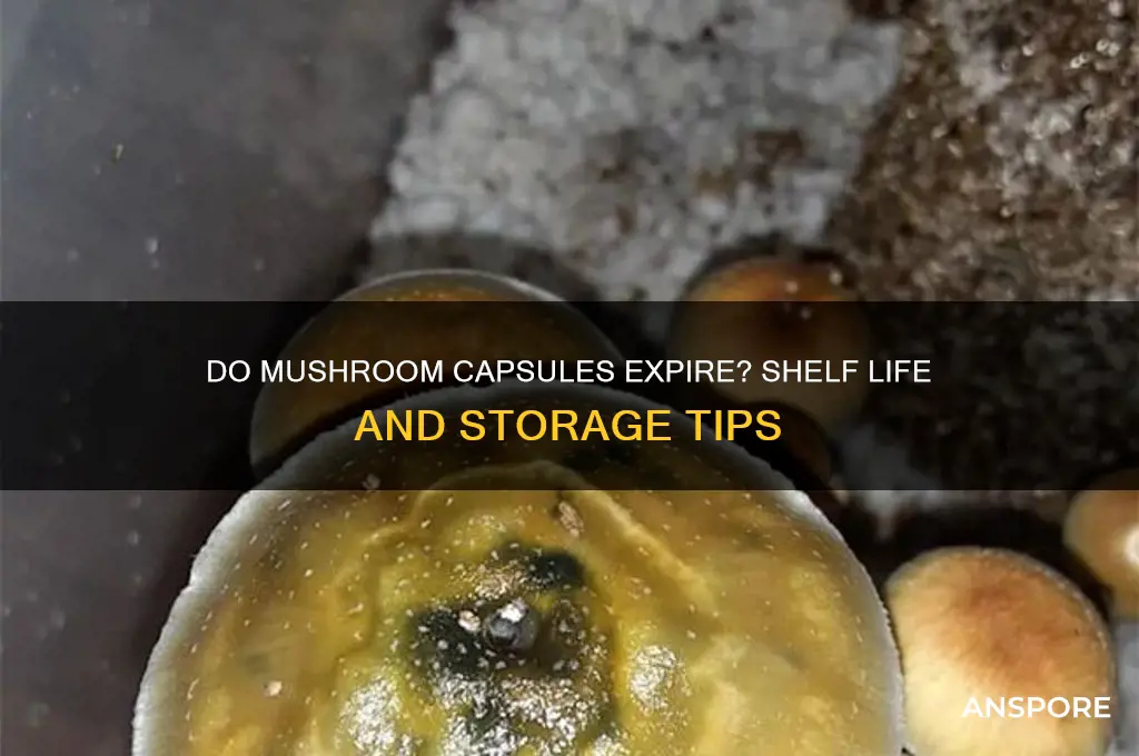can mushroom capsules go bad