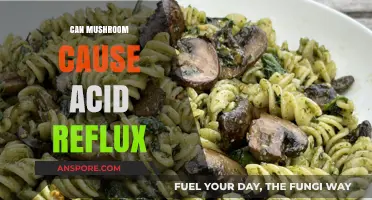 Mushrooms and Acid Reflux: Unraveling the Surprising Connection