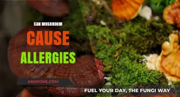 Mushroom Allergies: Uncovering Potential Risks and Symptoms in Consumption
