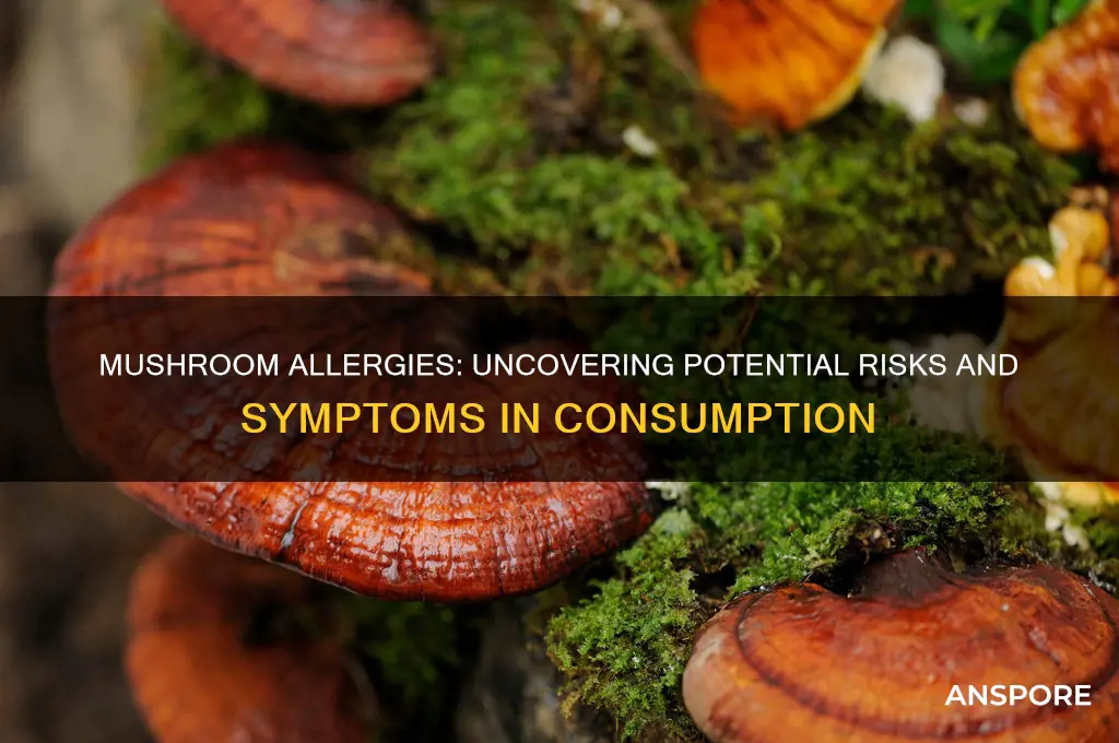 can mushroom cause allergies