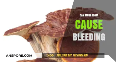 Mushrooms and Bleeding: Unraveling the Truth Behind Potential Risks