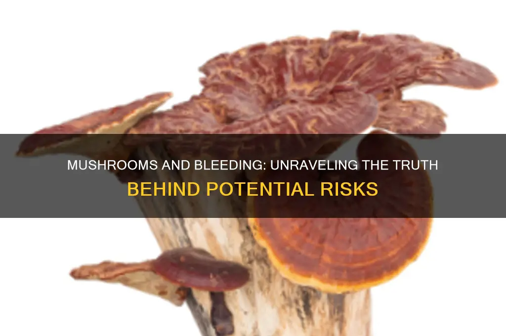 can mushroom cause bleeding