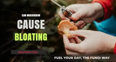 Mushrooms and Bloating: Unraveling the Truth Behind Digestive Discomfort