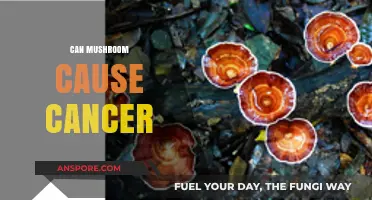 Mushrooms and Cancer: Unraveling the Truth Behind the Myth