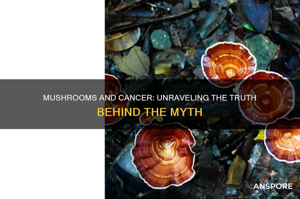 can mushroom cause cancer