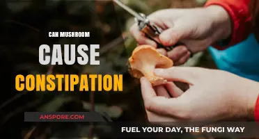 Mushrooms and Constipation: Unraveling the Digestive Impact of Fungi