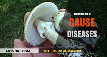 Mushrooms and Health: Unveiling Potential Risks and Disease Concerns