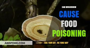 Can Mushrooms Cause Food Poisoning? Risks, Symptoms, and Prevention Tips