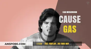 Mushrooms and Gas: Unraveling the Truth Behind Digestive Discomfort