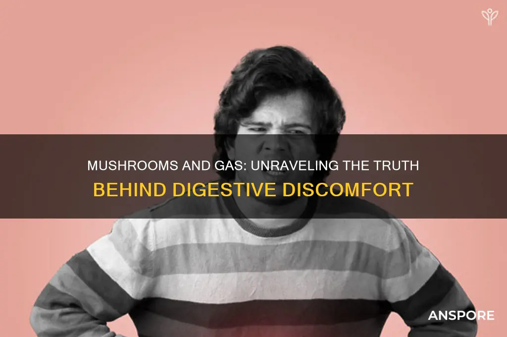 can mushroom cause gas
