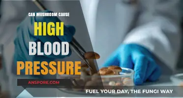 Mushrooms and Hypertension: Unveiling the Link to High Blood Pressure