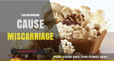 Mushrooms and Pregnancy: Debunking Myths About Miscarriage Risks