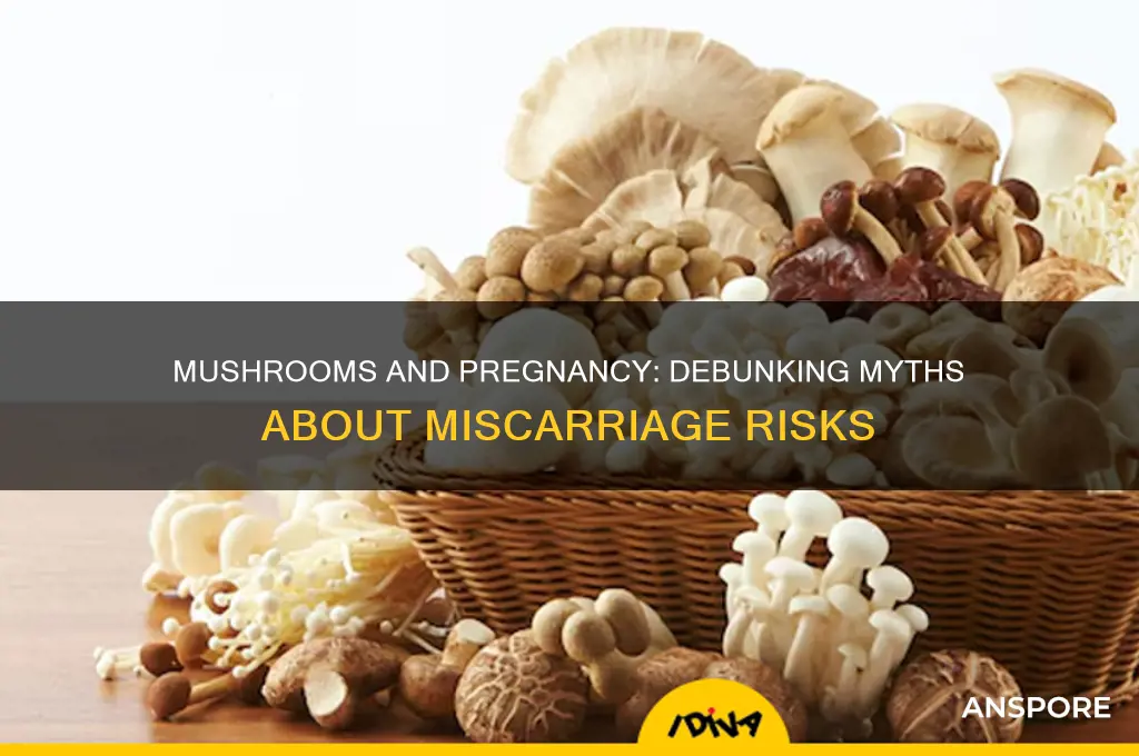 can mushroom cause miscarriage
