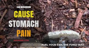 Mushroom-Induced Stomach Pain: Causes, Symptoms, and Prevention Tips