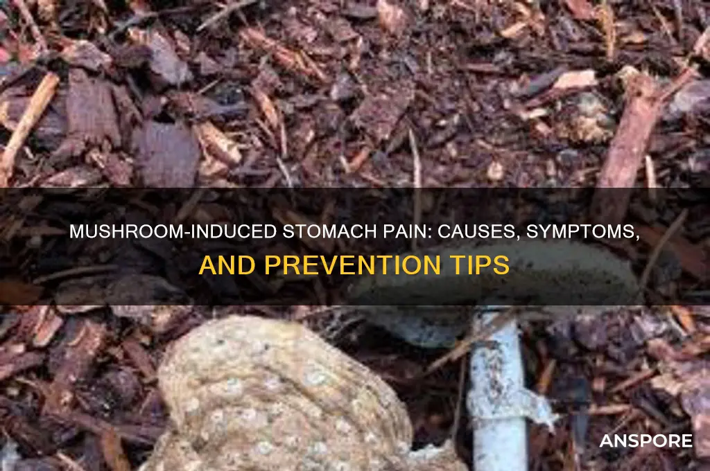 can mushroom cause stomach pain